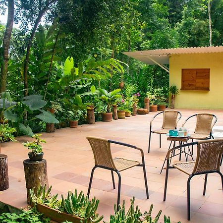 Reserva Biologica Caoba Bonda Kültér fotó