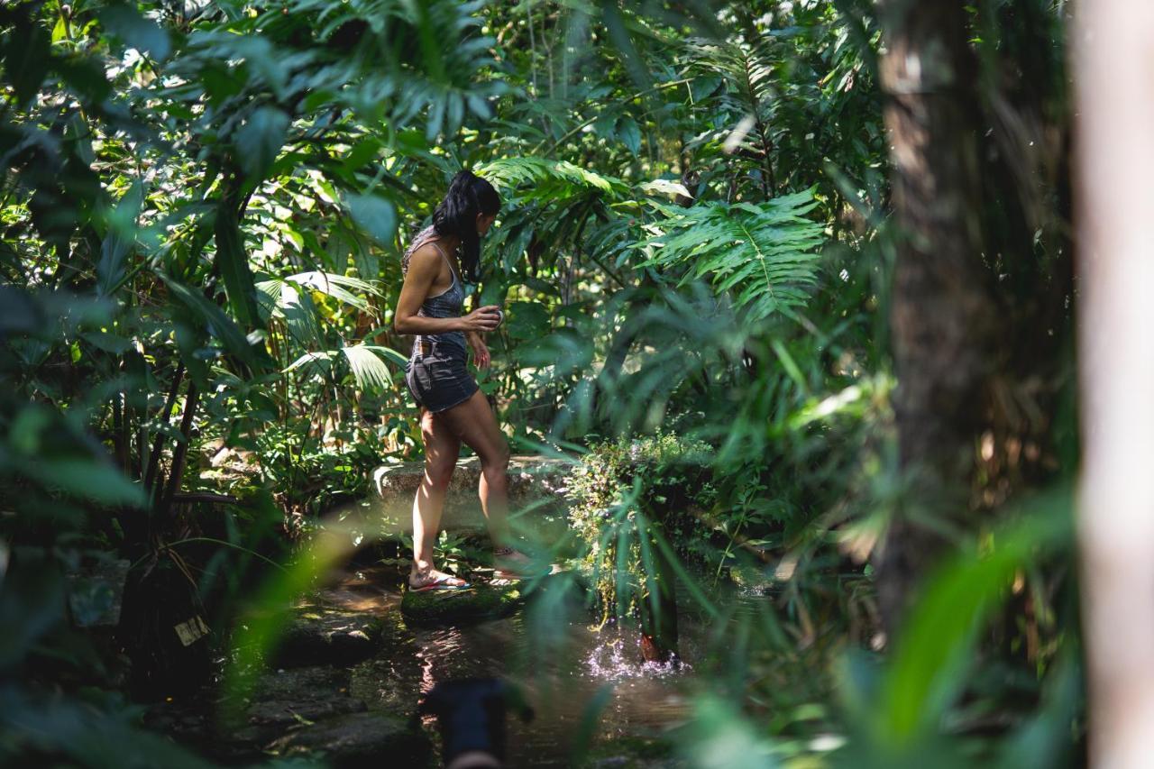 Reserva Biologica Caoba Bonda Kültér fotó