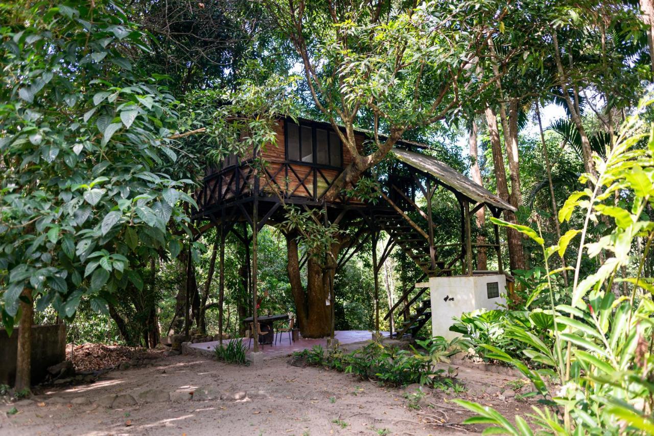 Reserva Biologica Caoba Bonda Kültér fotó