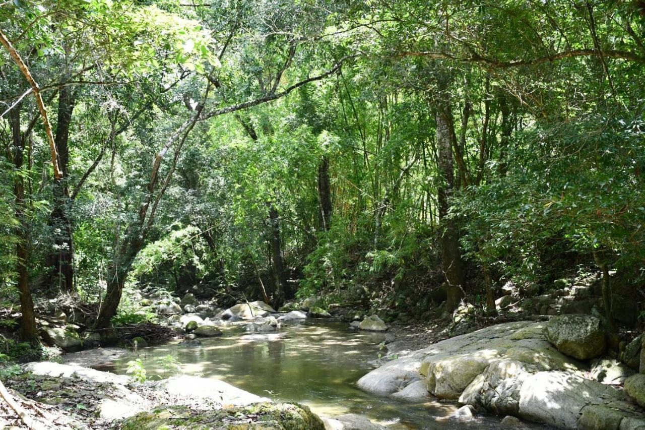 Reserva Biologica Caoba Bonda Kültér fotó
